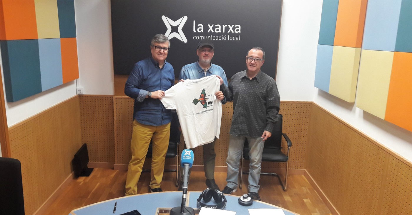 Els ocells de Catalunya