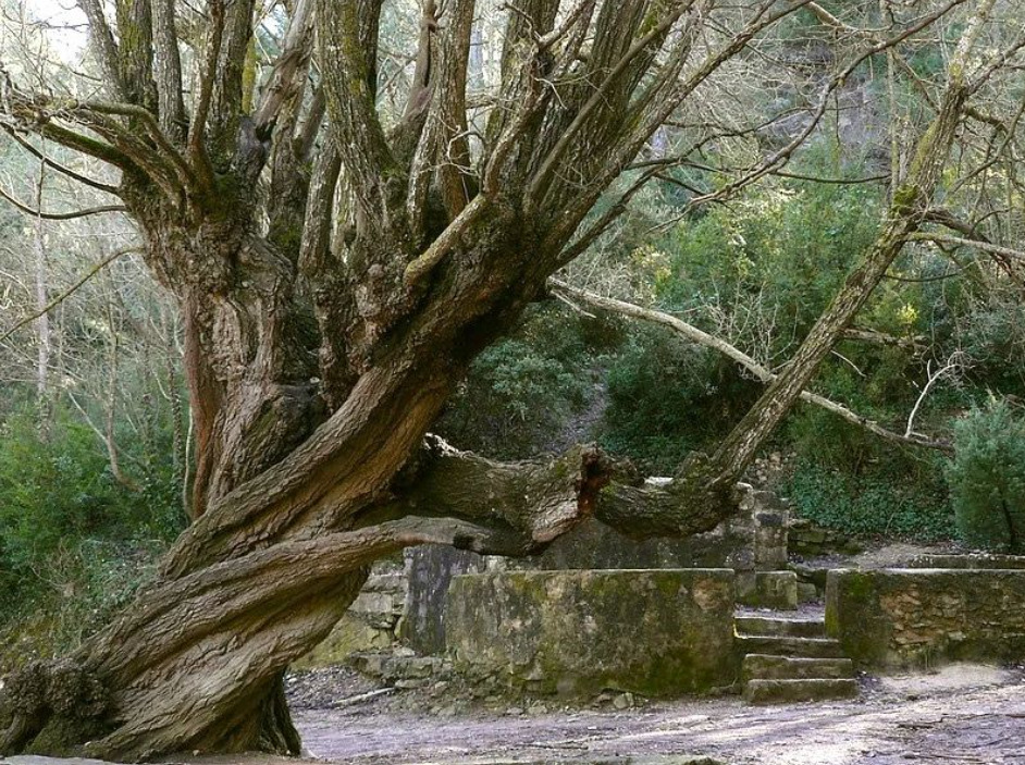Gent de La Llacuna – La Font Cuitora
